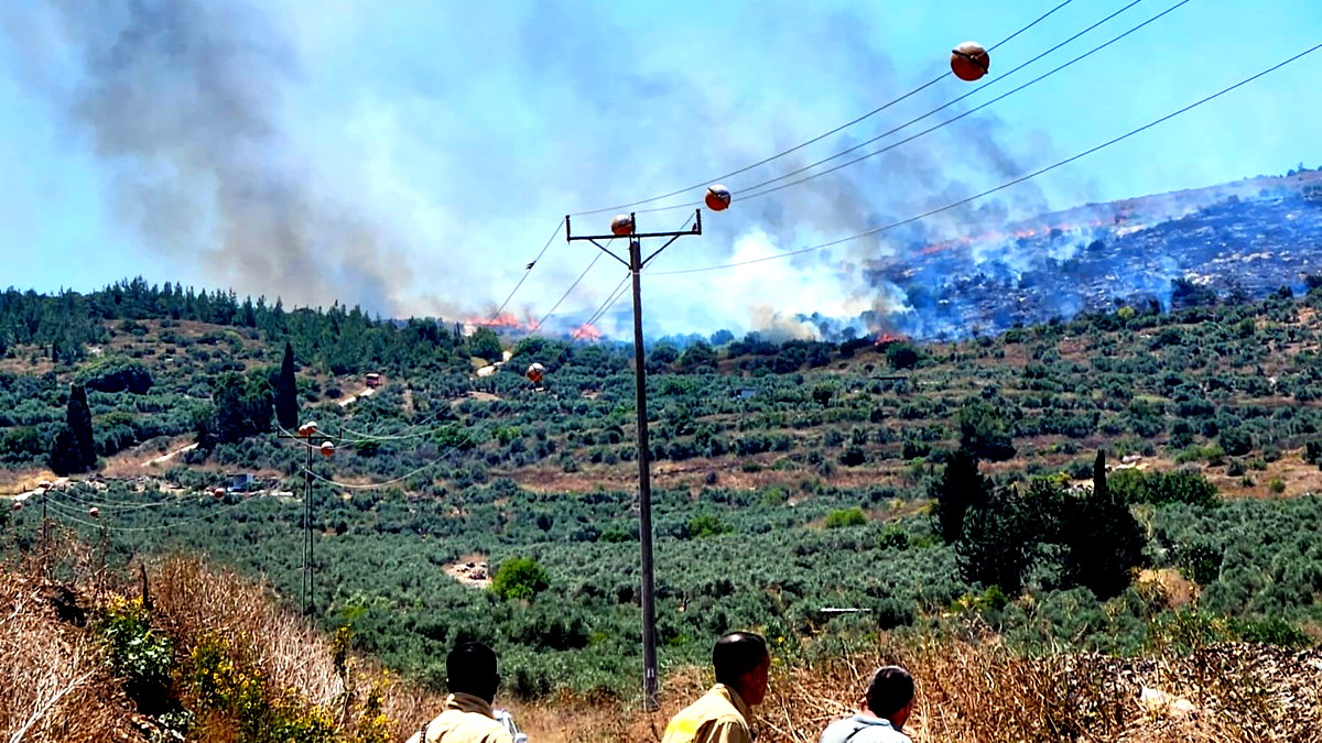 نشوب حريق في منطقة أحراش وعرية بالقرب من كفركنّا وسلطة الإطفاء تؤكّد: على الجميع الالتزام بقرار عدم اضرام النيران