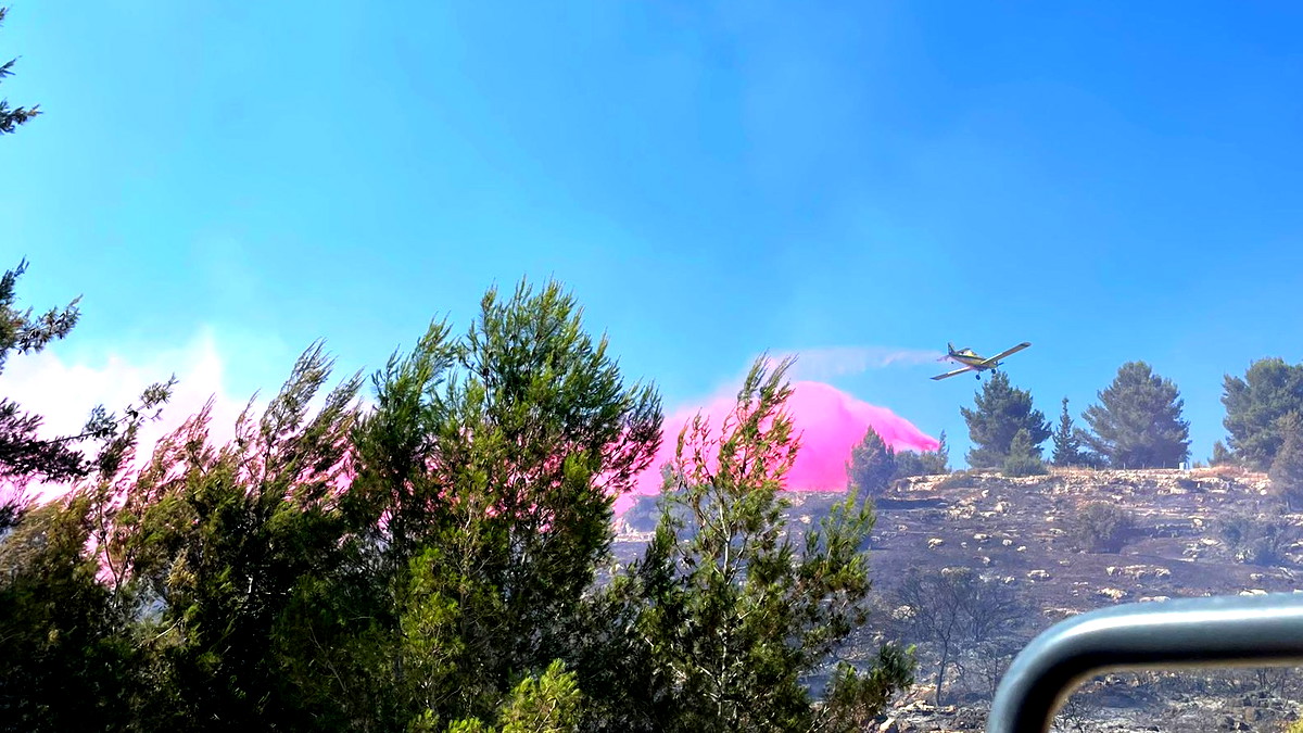 فيديو وصور| القدس: اندلاع حريق كبير في منطقة وعرية... طواقم الاطفاء والانقاذ تعمل على اخماده