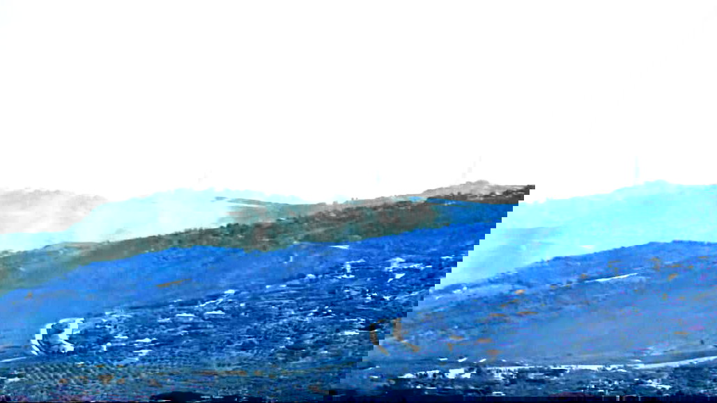 استعدادًا للحرب: الأجانب يغادرون لبنان بأعداد كبيرة على خلفية التهديدات الإسرائيلية