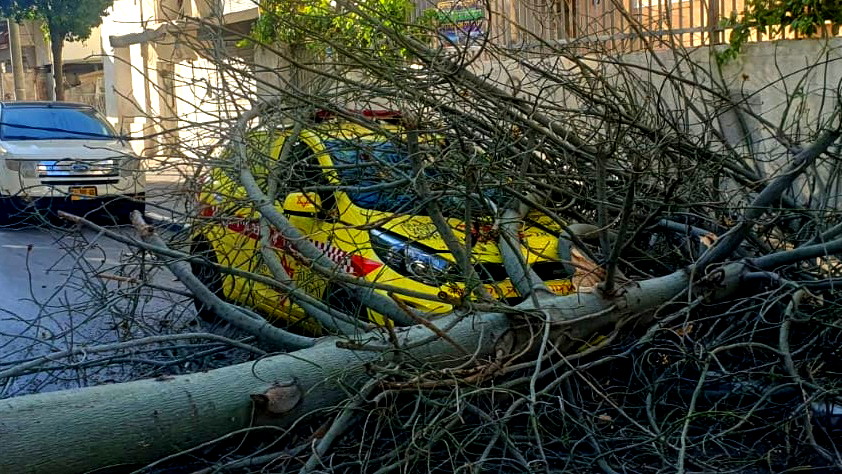 فيديو-سقوط شجرة على سيارة نجمة داوود الحمراء خلال معالجة حادث في تل أبيب