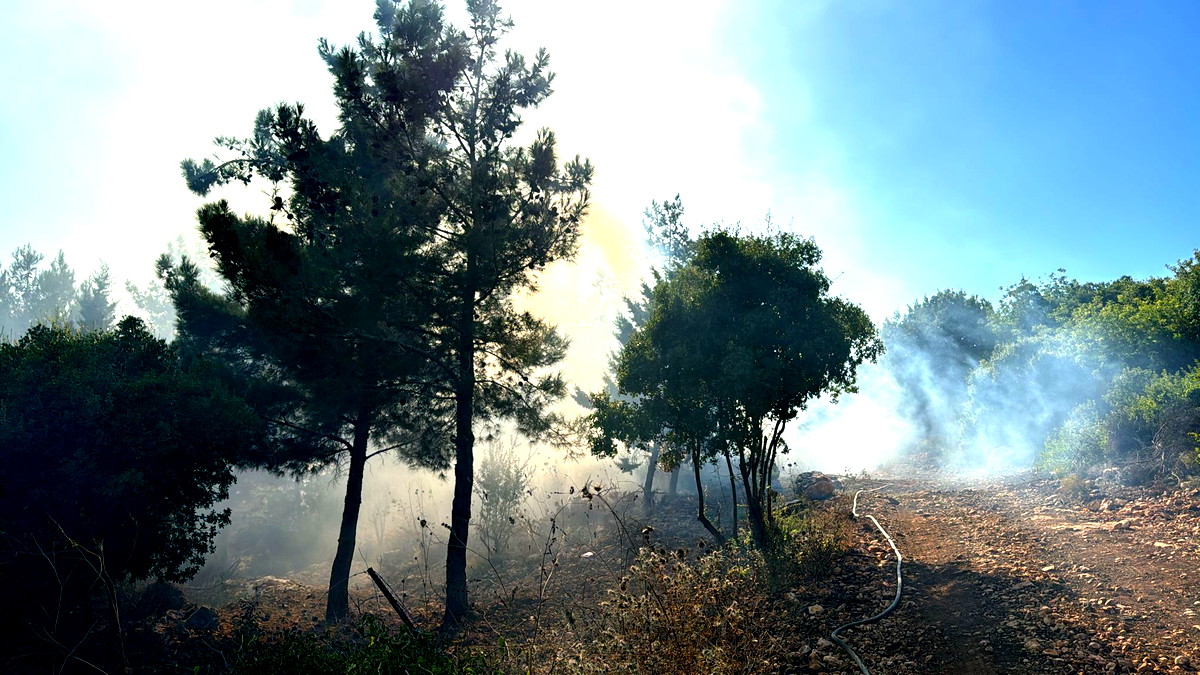 فيديو| المنطقة الصناعية تيفن: اندلاع حريق في منطقة مفتوحة و11 طاقم يعمل على اخماده