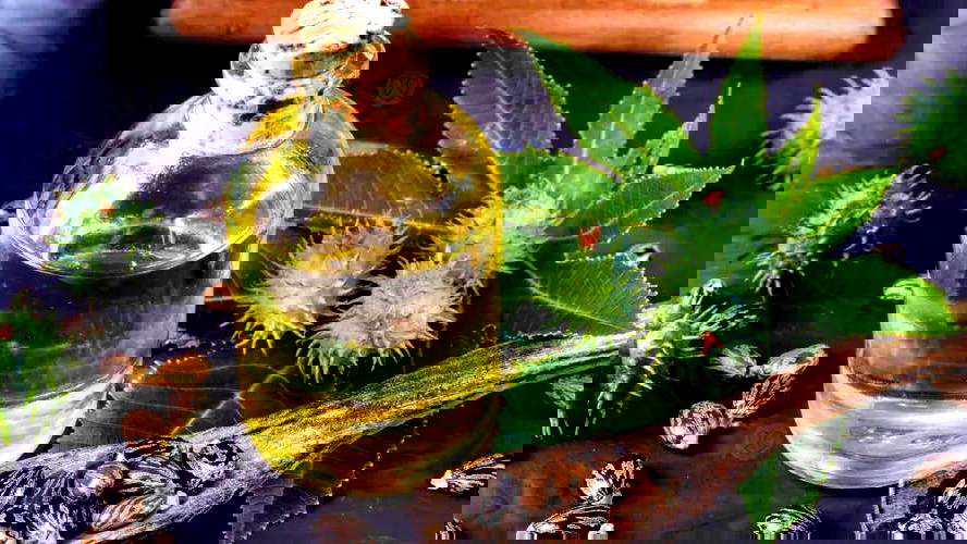 لزيت الخروع العديد من الفوائد الصّحية والتجميلية... إليكم البعض منها