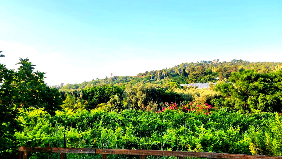 صفورية... انعكاس لتاريخ متعدّد الحضارات والثقافات ولوحة تاريخية في عمق الجليل