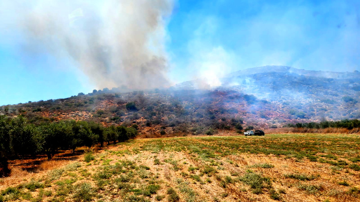 العديد من فرق الإطفاء والإنقاذ وبمساندة المروحيات تعمل على اخماد حريق هائل شبّ بمنطقة مفتوحة بالقرب من كفرمندا