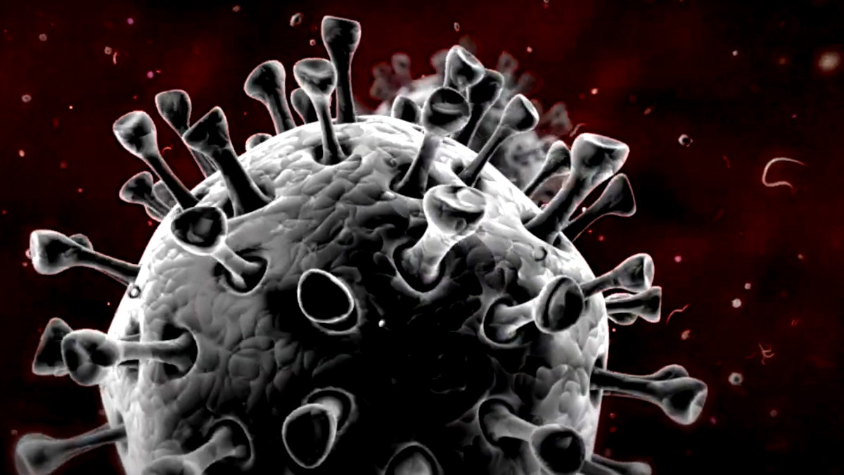 الأطعمة الأساسية لتعزيز وتقوية المناعة في ظل انتشار الفيروسات