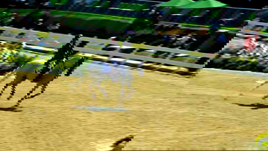 من العصور القديمة حتّى اليوم... الفروسية أسلوب حياة يتطلب المهارة والصّبر وعلاقة وطيدة مع الخيل