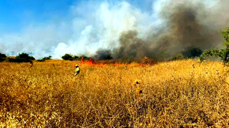 الجبهة الشّمالية للبلاد| طواقم الإطفاء والإنقاذ  تعمل على إخماد العديد من الحرائق جراء سقوط قذائف صاروخية أطلقت من لبنان