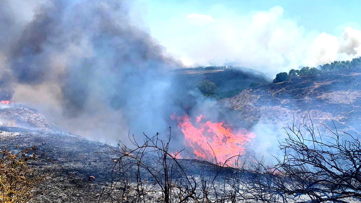 فيديو| عقب إطلاق صلية صاروخية من لبنان- طواقم الإطفاء والإنقاذ تعمل على إخماد العديد من الحرائق بعشر مناطق مفتوحة في بلدات الشّمال
