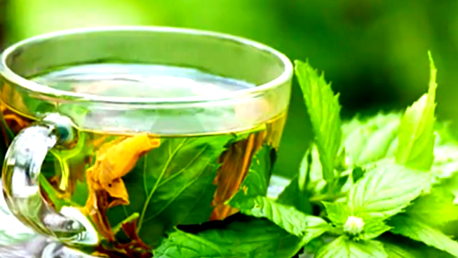 الشّاي الأخضر مشروب طبيعي يتميّز بنكهته العشبية الخفيفة والفوائد الصّحية العديدة