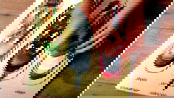 العلاج الوظيفي ودوره في دعم الأطفال وتطوير مهاراتهم الحياتية... مساعدة في النّمو والاستقلالية