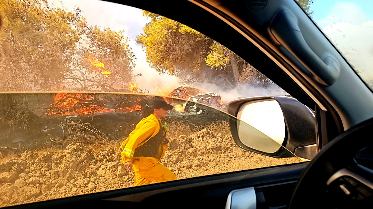 فيديو- طواقم الإطفاء والإنقاذ تعمل على إخماد حريق هائل اندلع بمنطقة وعرية بمحاذاة حي سكني في أشكلون