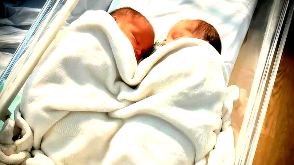 قالت فيهم: اكتمل الثّالوث المقدس... ثالوث القمح والعنب والعائلة- المذيعة السّورية ريحان يونان ترزق يتوأميها كرمة وكريم