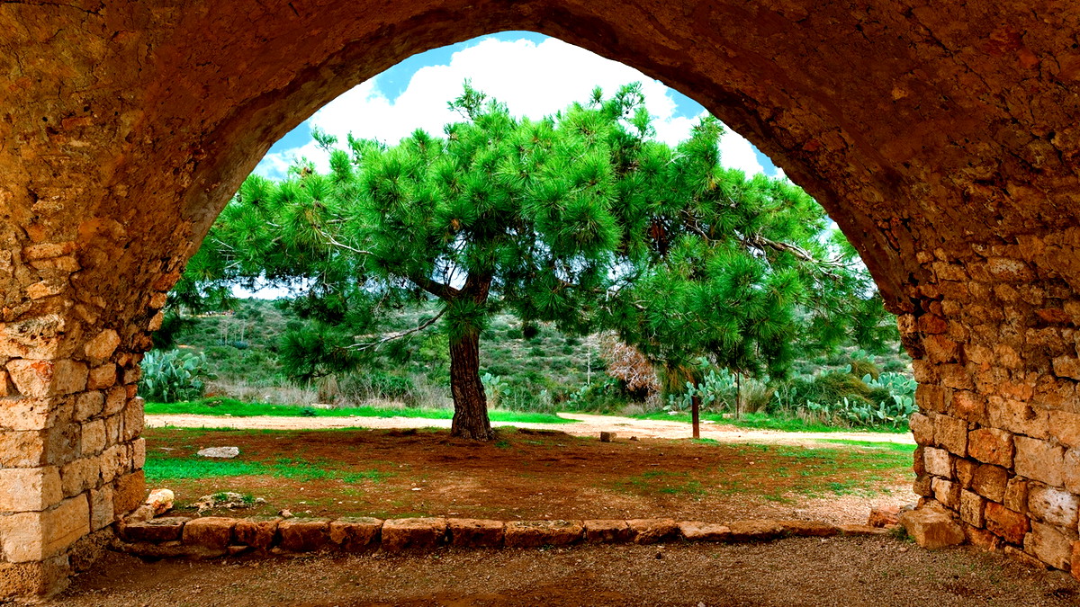 حالة الطقس: أجوار حارة صيفية.... ويطرأ إنخفاض طفيف على درجات الحرارة