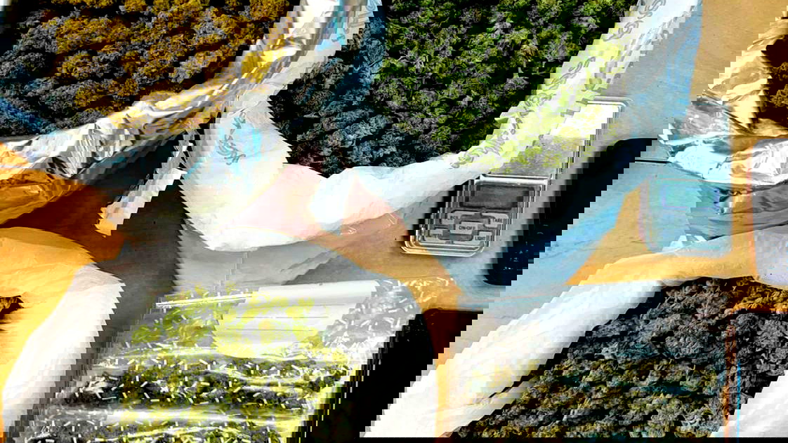 إعتقال شاب (34 عامًا) بشبهة حيازة أكثر من كيلو ونصف من الحشيش في نهاريا