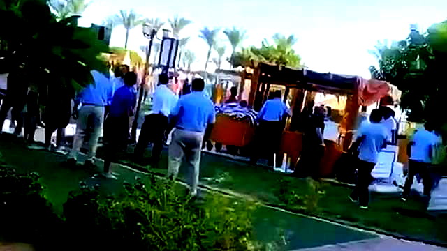 حول شجار طابا: العائلة من الناصرة تدحض الادعاءات المصرية وتطالب بتحقيق العدالة