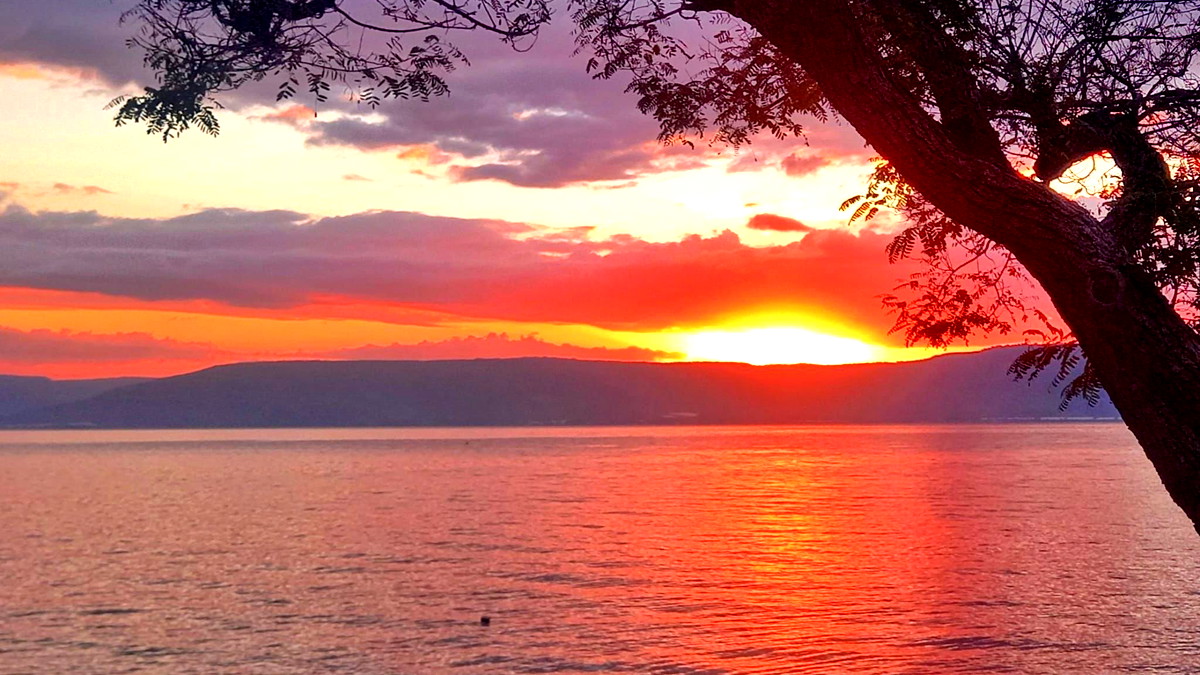 حالة الطقس: أجواء جافة وحارة ويطرأ انخفاض طفيف على الدرجات مع بقائها أعلى من معدلها العام