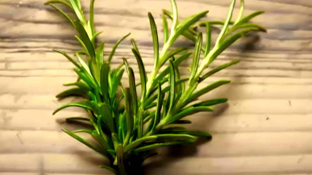 إكليل الجبل: العشب العطري الذي يجمع بين الفائدة الصحية والنكهة المميزة