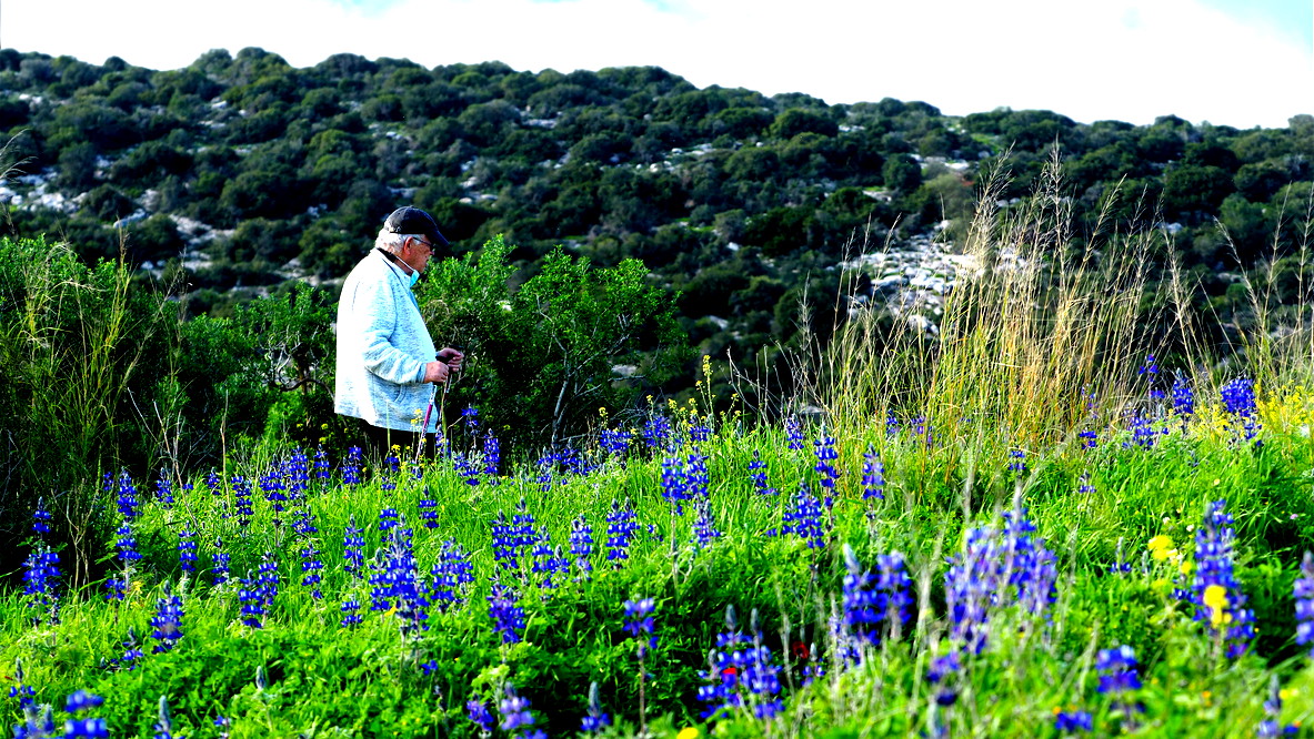 حالة الطقس: أجواء صيفية غائمة جزئيًا.... ويطرأ إرتفاع على درجات الحرارة