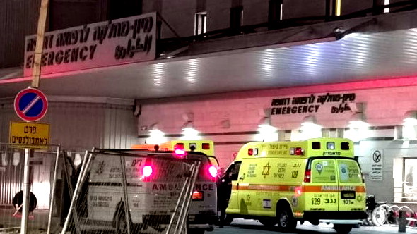 عراد - النقب: طفل (7 سنوات) بحالة خطيرة إثر تعرضه للدغة عقرب