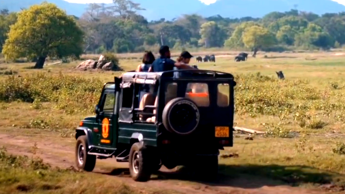 سريلانكا من أجمل الوجهات السّياحية جنوب آسيا... تجربة سياحية مليئة بالمغامرات التاريخ والثقافة