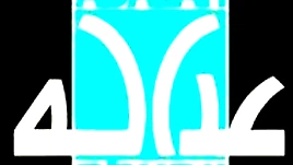 المحكمة المركزية في الناصرة تطلق سراح الاسيرة حنين الزرو بعد ما يقارب ١١ شهر سجن