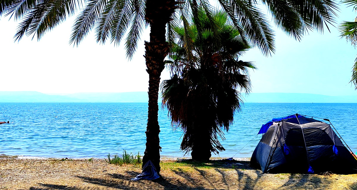 حالة الطقس: أجواء صيفية جافة وحارة ولا يطرأ تغيير يُذكر على الدّرجات 