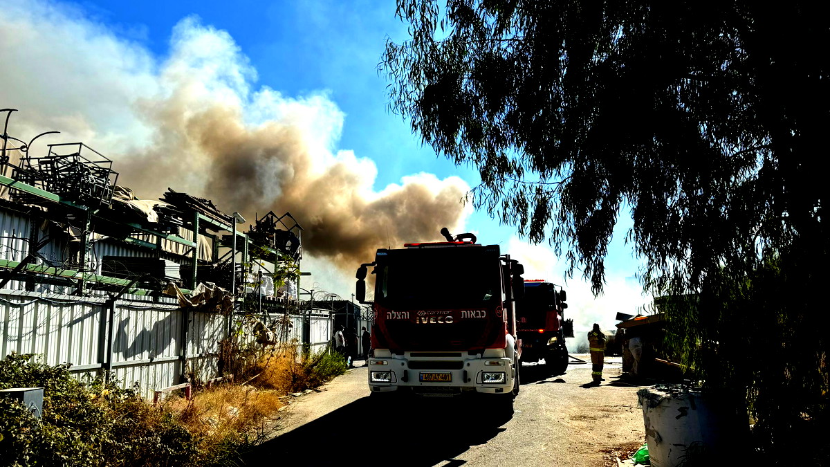 فيديو وصور| منطقة المركز: انلاع حريق كبير في منطقة أحراش وطواقم الاطفاء تعمل على اخماده