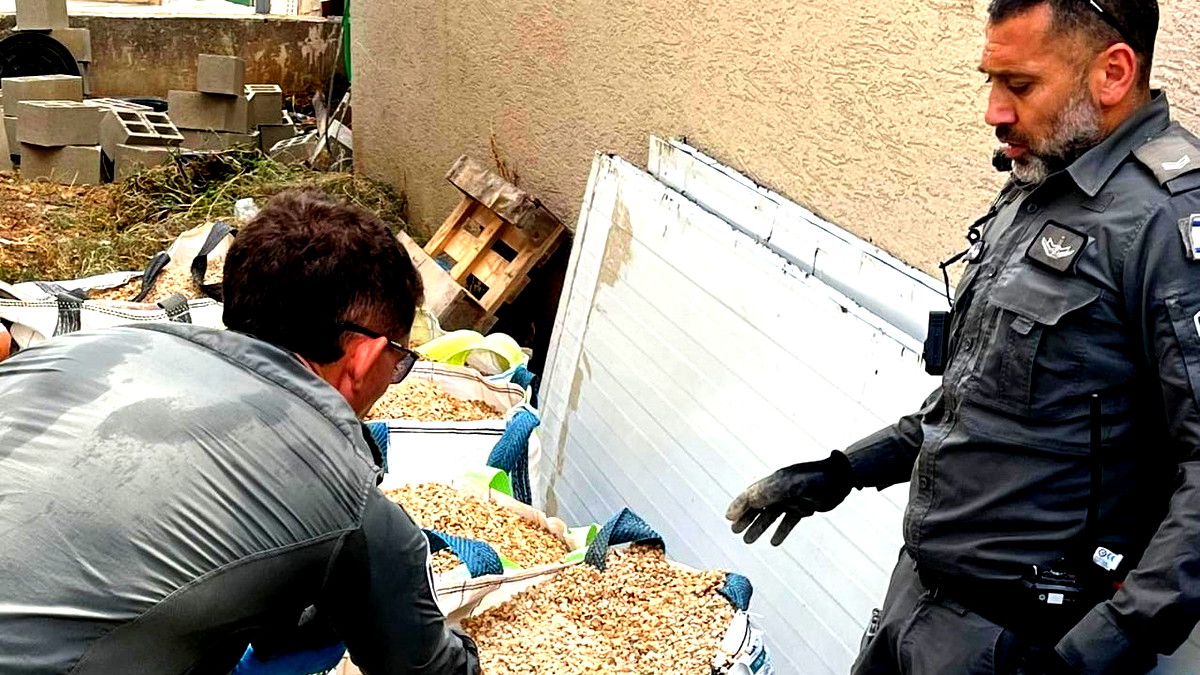 جديدة المكر: اعتقال شابين (34 و24 عامًا) بحيازة مسدس وعبوة ناسفة بشكل غير قانوني