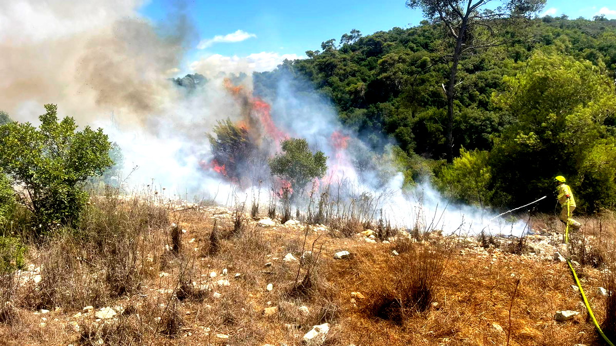 اندلاع حرائق متفرقة في منطقة احراش بجبل الكرمل