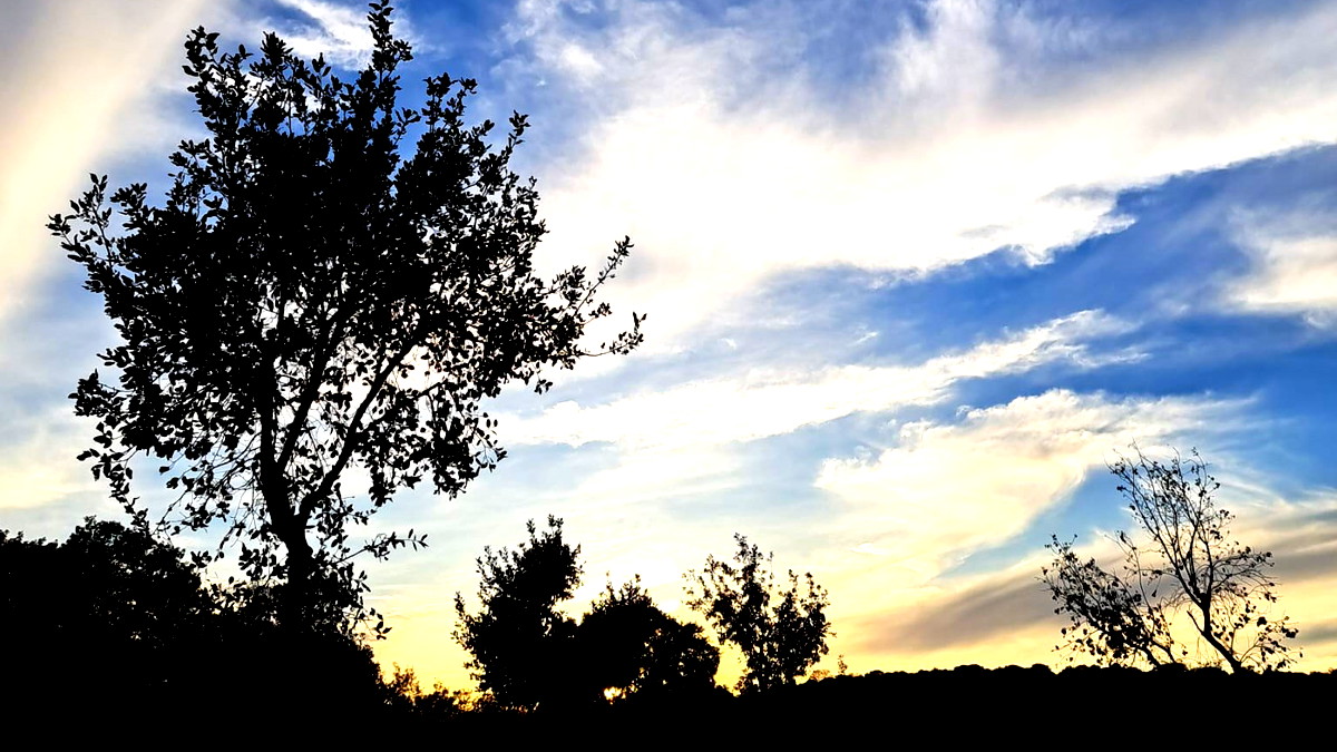 حالة الطقس: يكون الجو غائمًا جزئياً الى صاف... ويطرأ ارتفاع طفيف على درجات الحرارة