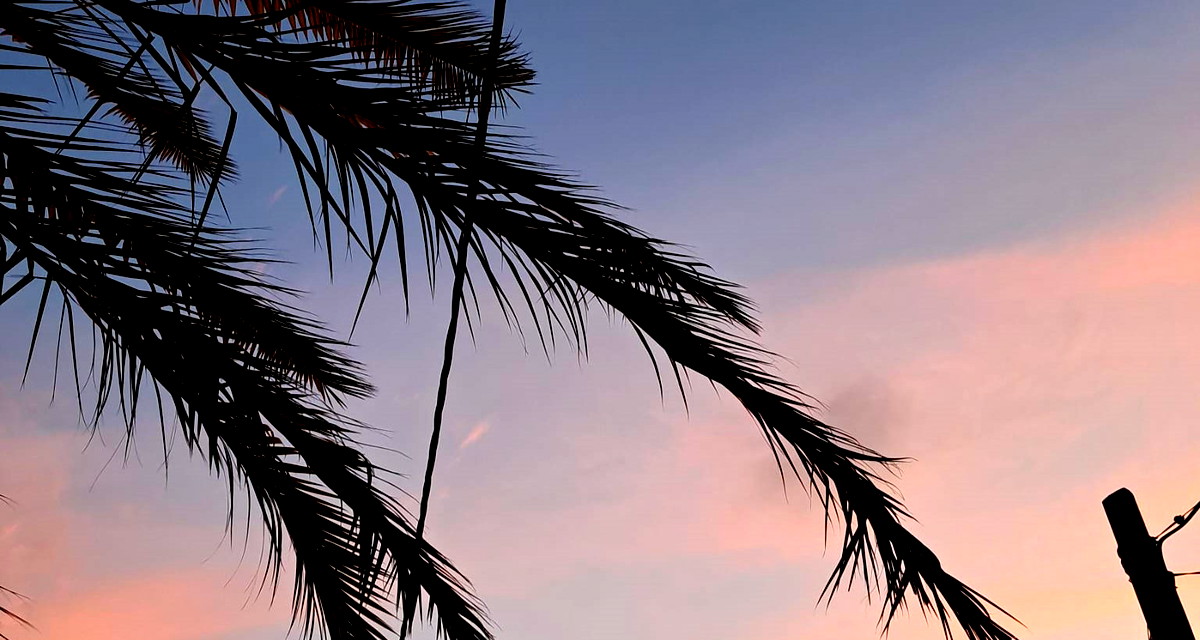 حالة الطقس: أجواء غائمة جزئيًا ويطرأ انخفاض على درجات الحرارة 