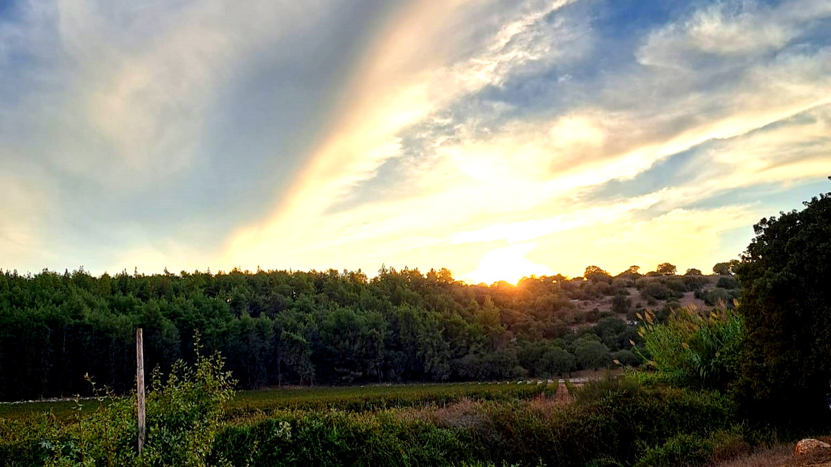 حالة الطّقس: أجواء خريفيّة لطيفة ويطرأ انخفاض طفيف على درجات الحرارة