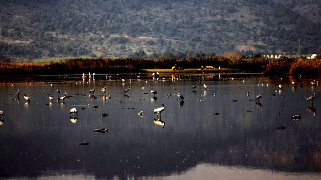 حالة الطقس: يكون الجو غائمًا جزئيًا.... ولايطرأ تغيير على درجات الحرارة