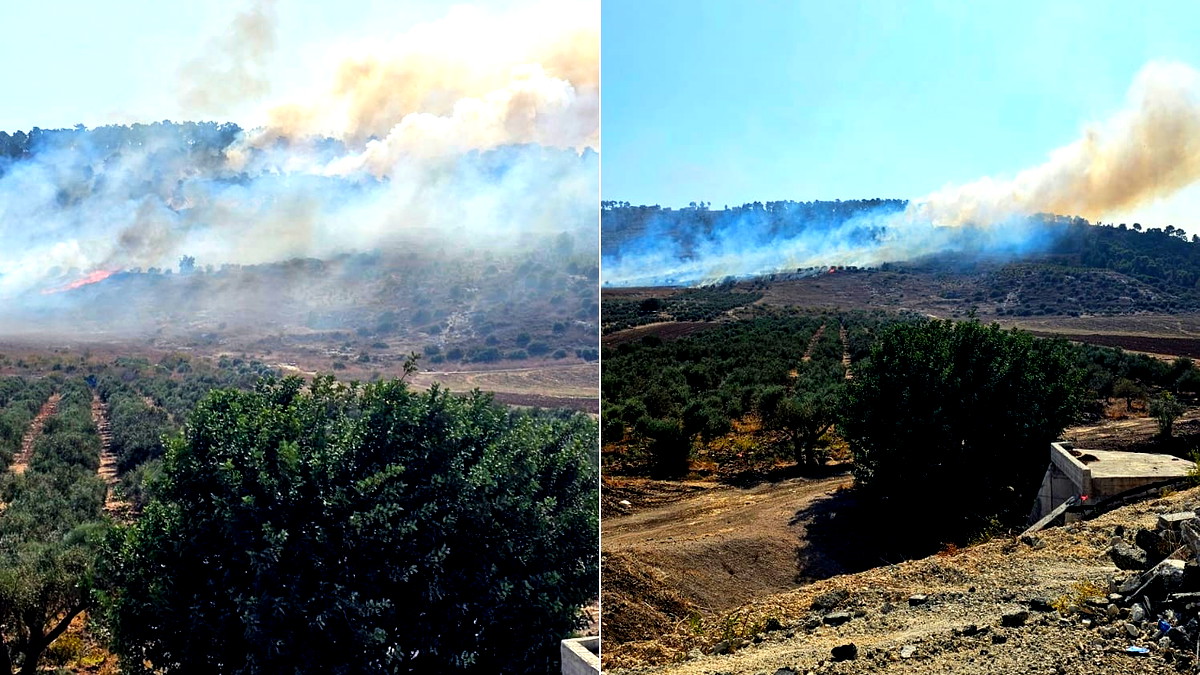 إندلاع حريق في منطقة مفتوحة بين نين وغفعات هموريه... وطواقم الإطفاء والإنقاذ تحاول السيطرة عليه