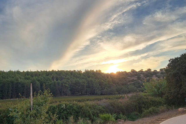 حالة الطقس: أجواء خريفية لطيفة ويطرأ ارتفاع طفيف على درجات الحرارة