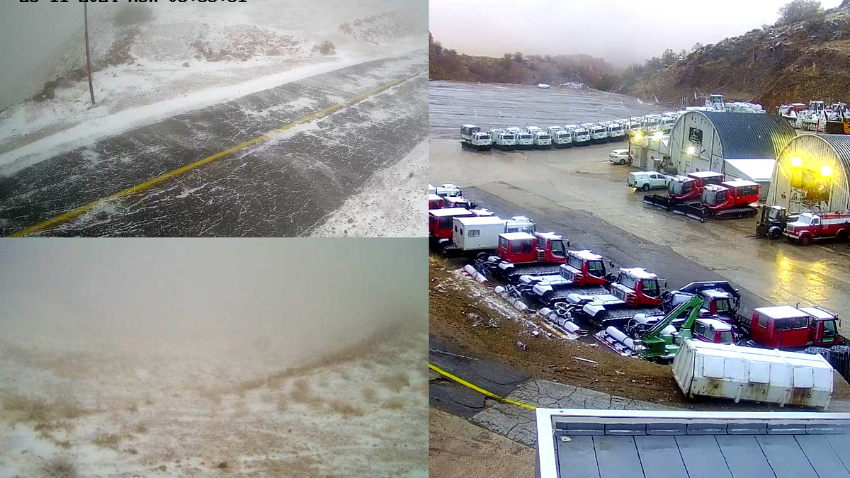 الزّائر الأبيض يحلُ ضيفًا على جبل الشيخ والإدارة هناك تؤكّد: المكان لا يزال مغلقًا على خلفية الأوضاع الأمنية