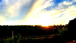 حالة الطقس: اجواء صافية وباردة نسبيا في معظم المناطق