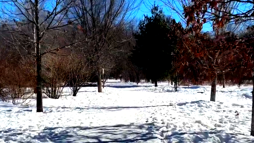 أجواء باردة وساحرة- لمحبي فصل الشّتاء إليكم قائمة بأجمل الأماكن السياحية حول العالم