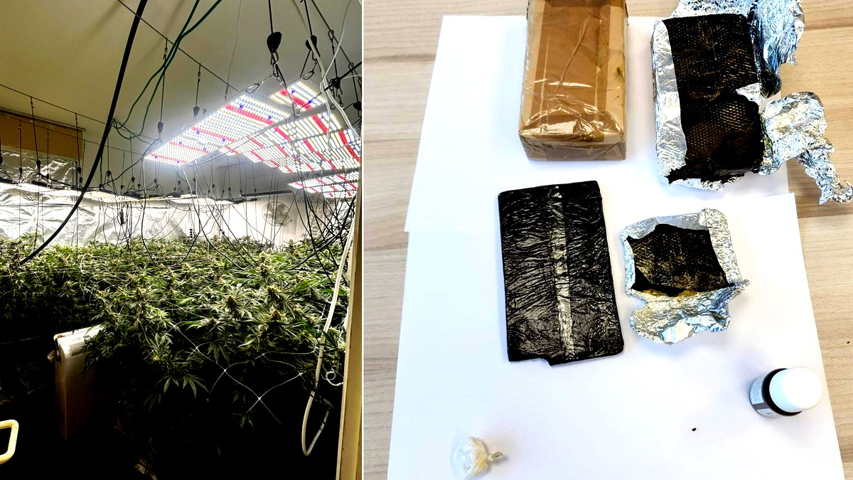 في عمليتين منفصلتين| توقيف مشتبه به (27 عامًا) من طيرة الكرمل بعد العثور على حوالي 80 كيلوغرام من مخدر الماريجوانا  في شقته بمدينة حيفا...  والقبض على مشتبه آخر بعد العثور على مخدر الكريستال في منزله