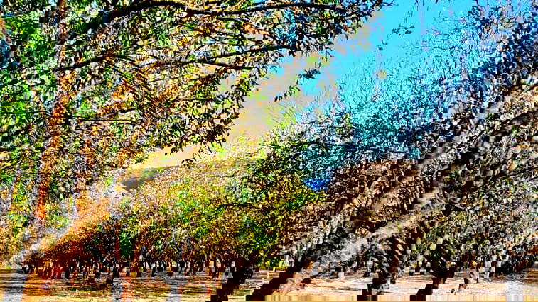 حالة الطقس: أجواء صافية وباردة نسبيًا ولا يطرأ تغيير يُذكر على درجات الحرارة