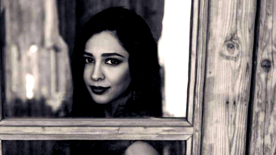 الممثلة النصراوية ميساء عبد الهادي بعد الحبس المنزلي : شرطي وصفني بالمخربة والزانية خلال الاعتقال !