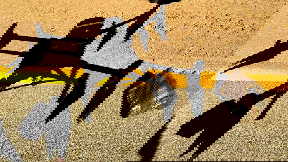 في بيانٍ مشترك للشرطة والشاباك " اعتقال مشتبهين من النقب بتهمة تهريب أسلحة على الحدود مع سيناء"