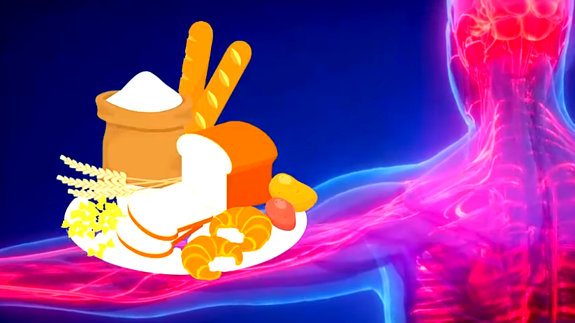 هل يرفع الخبز مستوى الكولسترول في الدم؟