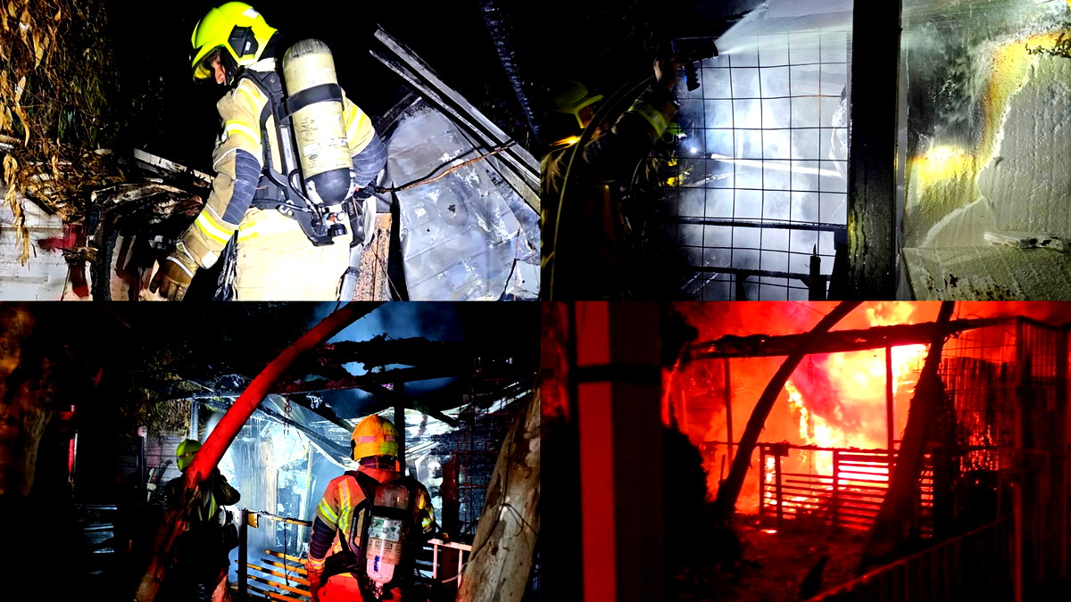 نتانيا: اندلاع حريق في شقة سكنية ولا إصابات في المكان 