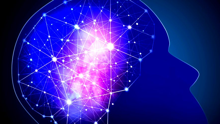 بعد موت من نحب... هل يمكننا استرجاع الذكريات من دماغ شخص متوفى؟