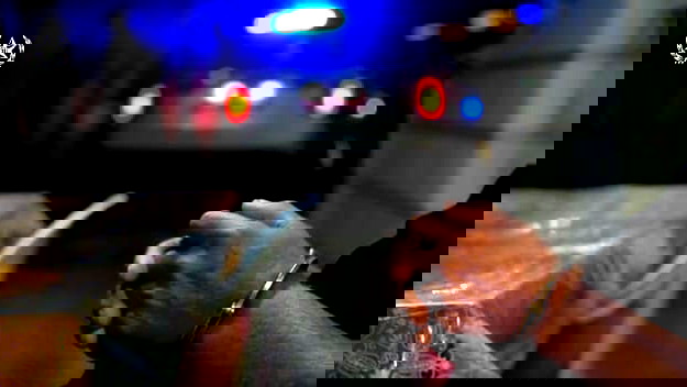 اعتقال اب واولاده الثلاثة من قلنسوة بشبهة خطف شقيقين من الضفة وتهديدهما