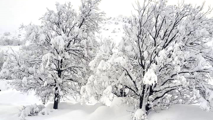 حالة الطقس: أجواء ماطرة وشديدة البرودة... يطرأ انخفاض على درجات الحرارة