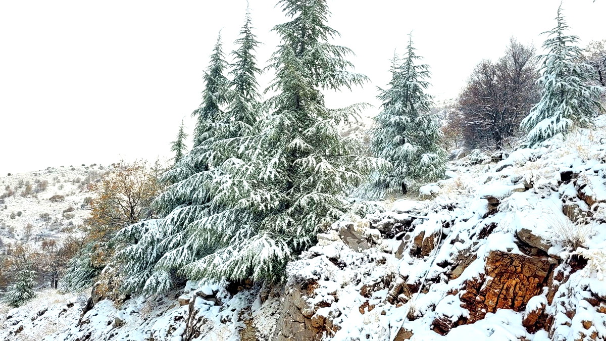 بيانات مقلقة حول هطول الأمطار هذا الشتاء: انخفاض حاد في الجنوب ومعدل الهطول لا يتجاوز 60%