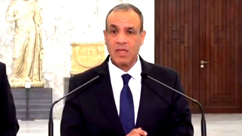وزير الخارجية المصري يطالب من إسرائيل بالانسحاب الكامل من الأراضي اللبنانية