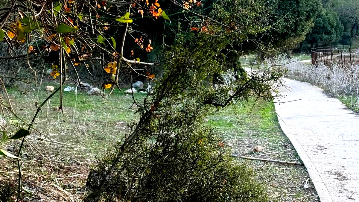 حالة الطقس: أجواء باردة ويطرأ ارتفاع على درجات الحرارة